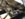 7BE27B60-3550-45B2-BC73-3CA3AAD37A97.jpeg