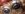 89C29B9E-72F0-4E5D-890A-F0AC756B4924.jpeg