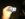 image (82).jpeg
