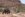 E95EB40F-D010-4669-A7B2-3ADB9EAC23AD.jpeg