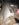 AB2D3A7D-456A-48E4-8EEE-71EFC7970210.jpeg