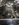 EB4E0773-B4A7-477F-A1F7-B3ED10805D90.jpeg