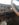 D32E8F12-924B-4B92-81D3-C8D449B88E54.jpeg