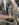 D5AC63D6-D741-41E0-832D-6C92FC885C0B.jpeg