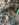 E5A46D65-46ED-4196-BADA-E439530E2554.jpeg