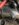 4342034C-6B1B-4AC4-97E7-C11FE7F267D3.jpeg