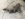 98FD988A-D9AC-44D0-8A3E-44CF7CF930C8.jpeg