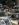 D2087E8C-433C-4841-805A-3BE9F69A8851.jpeg