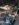 36646885-5083-4BC6-B205-D0CAD1B49B6B.jpeg