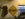 81A7BAB4-543C-4CD0-AB23-0FD836078087.jpeg