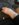 1B00B79D-140D-45A3-AA1D-C009EFEF5A48.jpeg