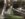 D3144A85-1BB2-4902-9513-CF1729B0D2F1.jpeg