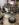 FDEB1C96-C479-4A19-BF5E-E825FDEED7F5.jpeg