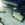 F8ECC2F1-01D1-4C5E-8ED2-6F8C9AE9B62D.jpeg