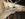181C533E-20B4-4C19-924B-9FB67CFB36F1.jpeg