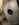 DE1BEF21-92DA-4672-978F-88ED45F655D4.jpeg