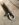 E09F409A-208E-4776-88DF-162FFA4D4B1D.jpeg