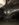 A43B712A-7BDC-4E3F-A979-FE40D26F00BF.jpeg