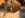 Newest Pics 106.jpg