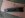 Newest Pics 111.jpg