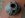 Newest Pics 113.jpg