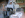 IMG_1150.gif
