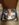 IMG_20171206_184833231_LL.jpg