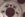 flex plate cracked.jpg