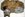 np205-transfer-case.jpg