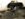 22E27D67-58C3-41AA-8CA1-BE98DDB08177.jpeg