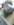 0917171455.jpg