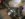 A5001F97-68D4-431B-8F1B-6700E5AC9893.jpeg