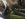 746F1597-DD2E-4A51-AA2E-BC744E769E62.jpeg