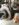 BED651BD-1A47-4003-A5B1-7F9DC8E81055.jpeg