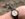 9E6D2CB2-D9B0-40DB-B8CA-672C88A99B59.jpeg