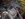 20121216_151433_zps57bcad4a.jpg