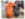 DSCF4101.png
