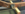 K10 Frame Year.png