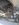 20170102_113303_zpsx6srdiym.jpg