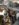 7830E9BE-4387-42B9-A6F2-295532658FFE.jpeg