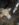 FDF97E78-EC2D-49D1-A982-4B0245196297.jpeg