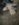 50C87AD5-2C4B-4C0F-AF7E-5218CD7662C9.jpeg