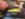 76515136-CBD3-4C1F-A99B-15B6C79F6875.jpeg