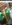 Screenshot_20171229-133403.jpg