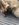933D52EA-2FF8-45DC-A37F-A51B2F15EB76.jpeg