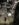 12CFA8C8-9534-4208-94B5-68E178FADE26.jpeg
