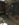 A5F07AE3-A421-4AD6-A1D1-90F8E6C56624.jpeg