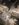 F11AB576-FF74-4C9A-B55B-B1AF6A97905B.jpeg