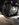 17568547-5CF7-4820-9F21-164CC1013324.jpeg