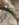 32BE43A7-9137-438C-8F20-76586F604BF0.jpeg 32BE43A7-9137-438C-8F20-76586F604BF0.jpeg